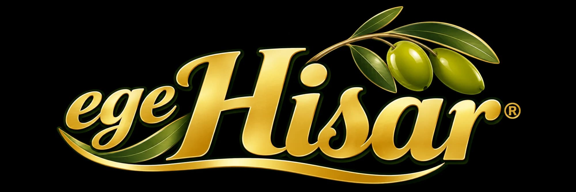 Ege Hisar logosu