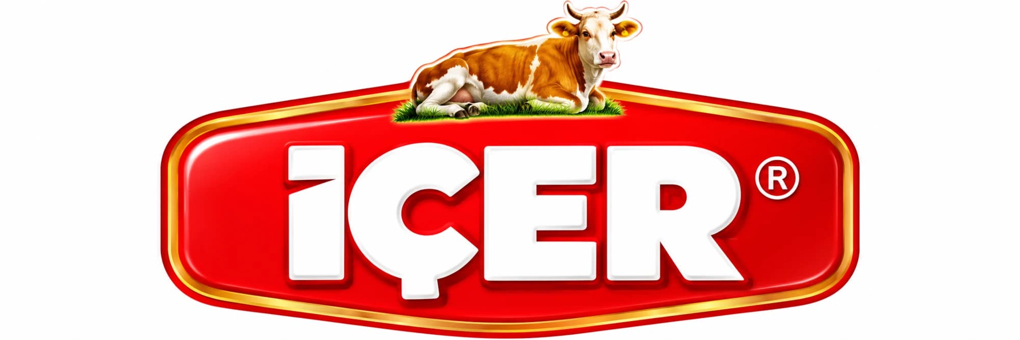 İçer logosu