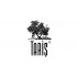 TARİŞ