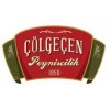 ÇÖLGEÇEN