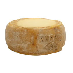 KARS ESKİ KAŞAR PEYNİR KG  KARS ESKİ KAŞAR PEYNİR KG