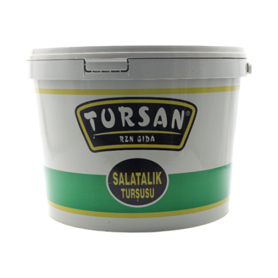 TURSAN TURŞU SALATALIK NO:00  KOVA 9 KG 