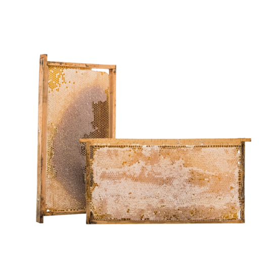 CANPETEK ÇITA BAL KG