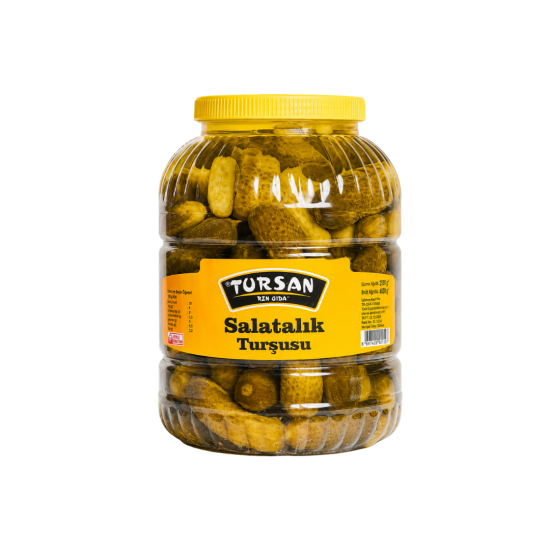 TURSAN TURŞU SALATALIK NO:2 2500 GR 